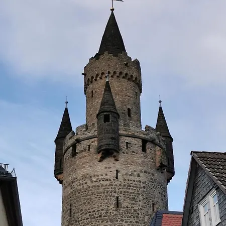 Le. Maya Friedberg (Hessen)